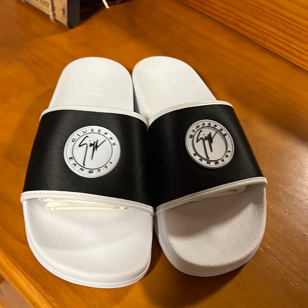 Giuseppe Zanotti slides